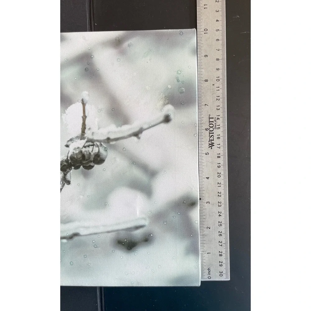 Chickadee Light Up Winter Canvas Wall Art Timer‎ Holiday Christmas